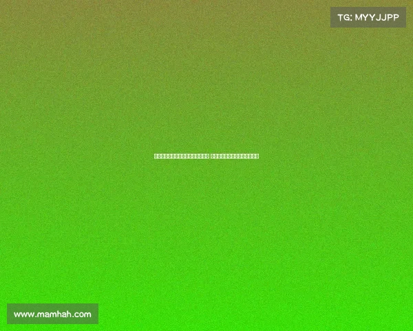 谢什科与伊萨克风格迥异但潜力巨大 未来有望成为极具破坏力的球员 谢什科与伊萨克风格迥异但潜力巨大 未来有望成为极具破坏力的球员