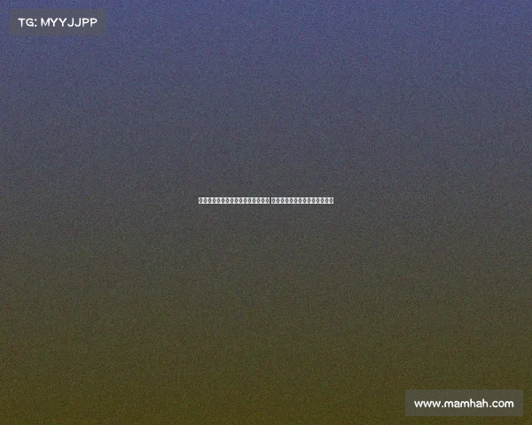 谢什科与伊萨克风格迥异但潜力巨大 未来有望成为极具破坏力的球员