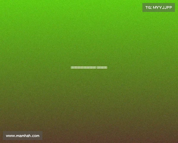 曼联与纽卡争夺法兰克福前锋埃基蒂克 激烈竞争引关注