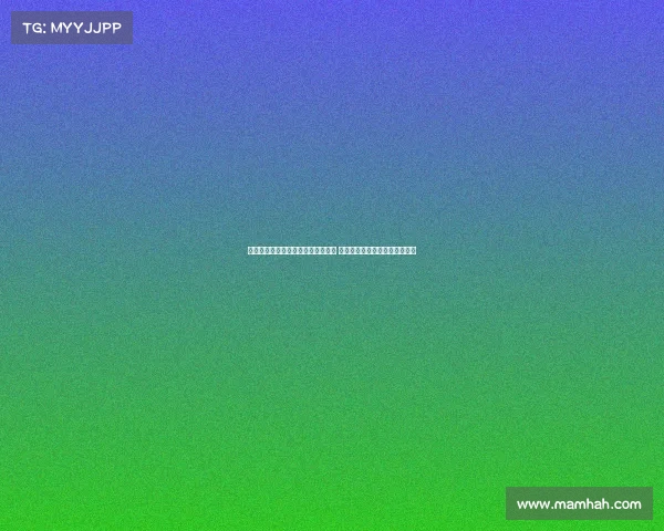 谢什科与伊萨克风格迥异但潜力巨大 未来有望成为极具破坏力的球员