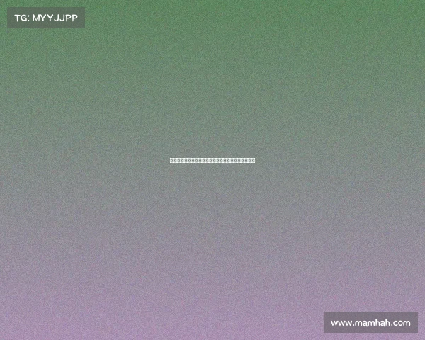 霍芬海姆足球俱乐部：德甲新兴力量的崛起与挑战分析